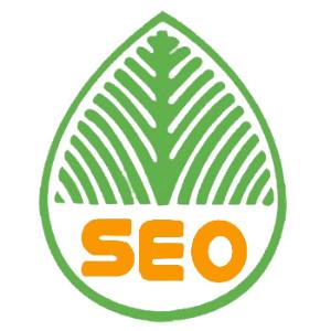 芜湖提升网站移动适配的注意事项